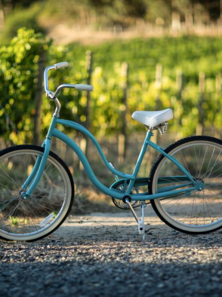 Bicycle on field at vineyard